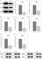 https://www.archivesofmedicalscience.com/f/fulltexts/171752/AMS-21-3-171752-g002_min.jpg