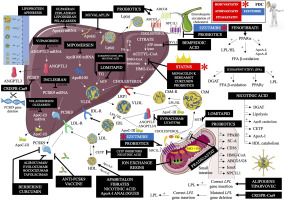 https://www.archivesofmedicalscience.com/f/fulltexts/174743/AMS-19-6-174743-g002_min.jpg