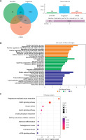https://www.archivesofmedicalscience.com/f/fulltexts/176676/AMS-22-1-176676-g005_min.jpg