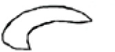 https://www.archivesofmedicalscience.com/f/fulltexts/178184/AMS-21-4-178184-i003_min.jpg