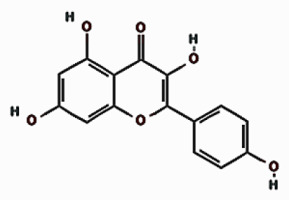 https://www.archivesofmedicalscience.com/f/fulltexts/188809/AMS-21-3-188809-i002_min.jpg