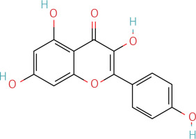 https://www.archivesofmedicalscience.com/f/fulltexts/190794/AMS-22-1-190794-i002_min.jpg