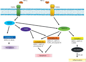 https://www.archivesofmedicalscience.com/f/fulltexts/201446/AMS-22-1-201446-g001_min.jpg
