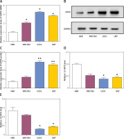 https://www.archivesofmedicalscience.com/f/fulltexts/203472/AMS-22-2-203472-g004_min.jpg