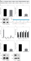 https://www.archivesofmedicalscience.com/f/fulltexts/204810/AMS-22-1-204810-g004_min.jpg