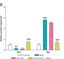 https://www.archivesofmedicalscience.com/f/fulltexts/207429/AMS-22-2-207429-g006_min.jpg
