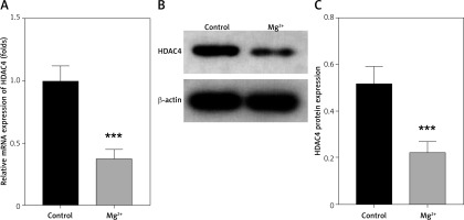https://www.archivesofmedicalscience.com/f/fulltexts/207708/AMS-22-1-207708-g003_min.jpg