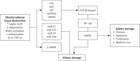 https://www.archivesofmedicalscience.com/f/fulltexts/208192/AMS-21-4-208192-g002_min.jpg