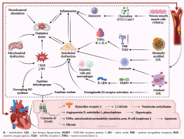 https://www.archivesofmedicalscience.com/f/fulltexts/208372/AMS-21-4-208372-g001_min.jpg
