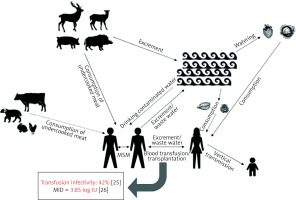 https://www.archivesofmedicalscience.com/f/fulltexts/214289/AMS-22-3-214289-g001_min.jpg