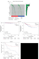 https://www.archivesofmedicalscience.com/f/fulltexts/214433/AMS-22-3-214433-g001_min.jpg