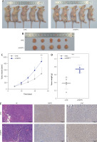 https://www.archivesofmedicalscience.com/f/fulltexts/214433/AMS-22-3-214433-g006_min.jpg