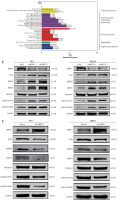 https://www.archivesofmedicalscience.com/f/fulltexts/214433/AMS-22-3-214433-g007_min.jpg