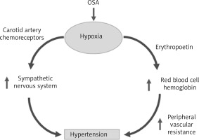 https://www.archivesofmedicalscience.com/f/fulltexts/214987/AMS-22-4-214987-g002_min.jpg