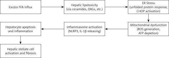 https://www.archivesofmedicalscience.com/f/fulltexts/219846/AMS-22-2-219846-g001_min.jpg
