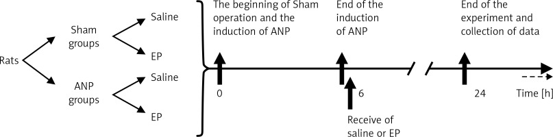 https://www.archivesofmedicalscience.com/f/fulltexts/65172/AMS-15-29140-g001_min.jpg