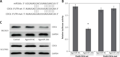 https://www.archivesofmedicalscience.com/f/fulltexts/69140/AMS-15-31738-g002_min.jpg