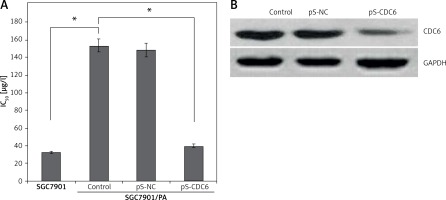 https://www.archivesofmedicalscience.com/f/fulltexts/69140/AMS-15-31738-g004_min.jpg