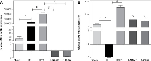 https://www.archivesofmedicalscience.com/f/fulltexts/69293/AMS-15-36849-g002_min.jpg