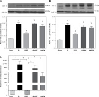 https://www.archivesofmedicalscience.com/f/fulltexts/69293/AMS-15-36849-g003_min.jpg