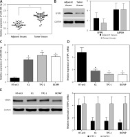 https://www.archivesofmedicalscience.com/f/fulltexts/70882/AMS-15-36924-g001_min.jpg