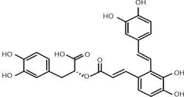 https://www.archivesofmedicalscience.com/f/fulltexts/73980/AMS-15-37460-g001_min.jpg