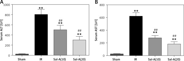 https://www.archivesofmedicalscience.com/f/fulltexts/73980/AMS-15-37460-g003_min.jpg