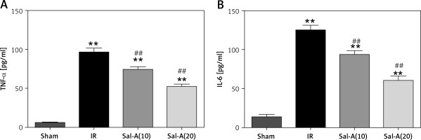 https://www.archivesofmedicalscience.com/f/fulltexts/73980/AMS-15-37460-g004_min.jpg