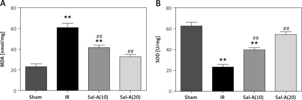 https://www.archivesofmedicalscience.com/f/fulltexts/73980/AMS-15-37460-g005_min.jpg