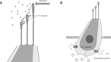 https://www.archivesofmedicalscience.com/f/fulltexts/74140/AMS-15-36991-g001_min.jpg