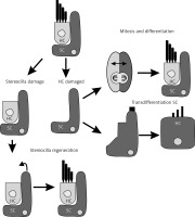 https://www.archivesofmedicalscience.com/f/fulltexts/74140/AMS-15-36991-g002_min.jpg