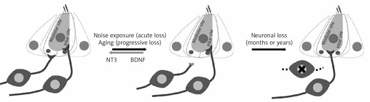 https://www.archivesofmedicalscience.com/f/fulltexts/74140/AMS-15-36991-g004_min.jpg