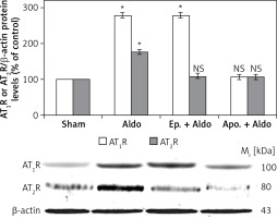 https://www.archivesofmedicalscience.com/f/fulltexts/74301/AMS-15-37405-g001_min.jpg