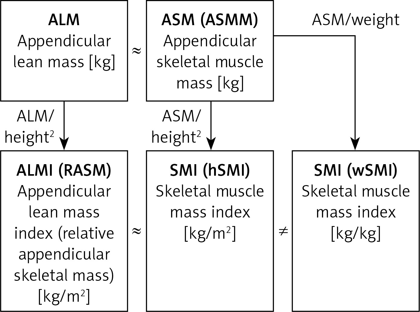 Muscle mass evaluation