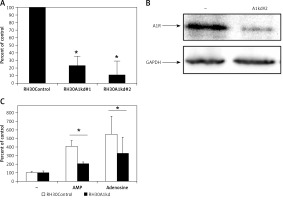 https://www.archivesofmedicalscience.com/f/fulltexts/76784/AMS-16-2-32700-g004_min.jpg