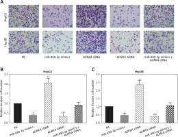 https://www.archivesofmedicalscience.com/f/fulltexts/76891/AMS-16-2-39464-g006_min.jpg