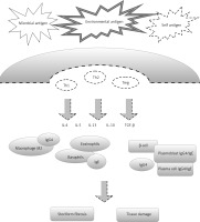 https://www.archivesofmedicalscience.com/f/fulltexts/78051/AMS-15-30854-g001_min.jpg