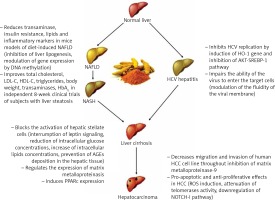 https://www.archivesofmedicalscience.com/f/fulltexts/78816/AMS-15-31869-g001_min.jpg