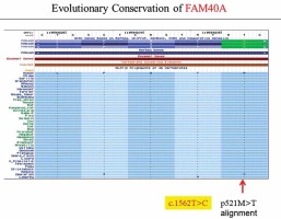 https://www.archivesofmedicalscience.com/f/fulltexts/80899/AMS-15-31628-g001_min.jpg