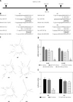 https://www.archivesofmedicalscience.com/f/fulltexts/80934/AMS-17-2-80934-g004_min.jpg