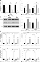 https://www.archivesofmedicalscience.com/f/fulltexts/80948/AMS-17-2-80948-g001_min.jpg