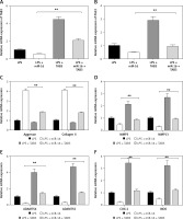 https://www.archivesofmedicalscience.com/f/fulltexts/80948/AMS-17-2-80948-g007_min.jpg