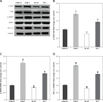 https://www.archivesofmedicalscience.com/f/fulltexts/81172/AMS-15-34570-g004_min.jpg