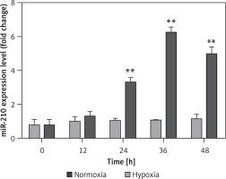 https://www.archivesofmedicalscience.com/f/fulltexts/81389/AMS-15-31622-g001_min.jpg