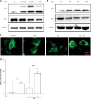 https://www.archivesofmedicalscience.com/f/fulltexts/81571/AMS-15-31986-g002_min.jpg