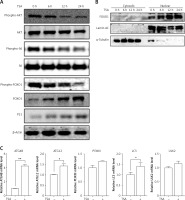 https://www.archivesofmedicalscience.com/f/fulltexts/81571/AMS-15-31986-g003_min.jpg