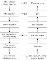 https://www.archivesofmedicalscience.com/f/fulltexts/85353/AMS-15-36465-g001_min.jpg