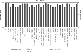 https://www.archivesofmedicalscience.com/f/fulltexts/85353/AMS-15-36465-g002_min.jpg