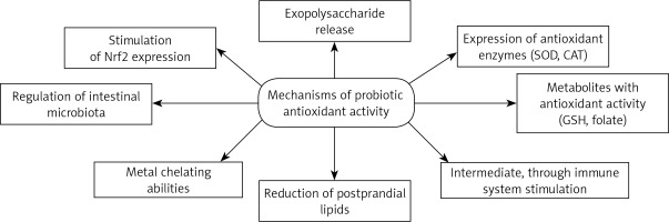 https://www.archivesofmedicalscience.com/f/fulltexts/85741/AMS-17-3-89593-g001_min.jpg