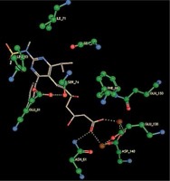 https://www.archivesofmedicalscience.com/f/fulltexts/85880/AMS-16-6-42213-i001_min.jpg